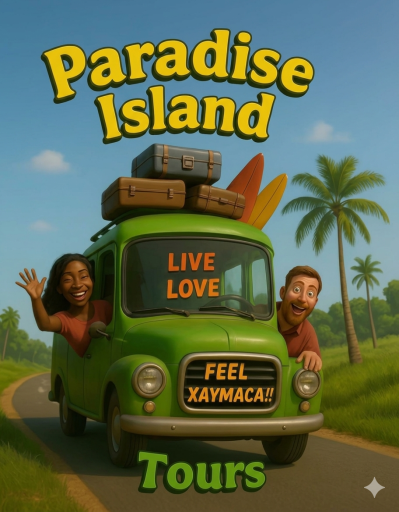 Paradise Island Tours